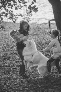 dog lead jumping puppy girls