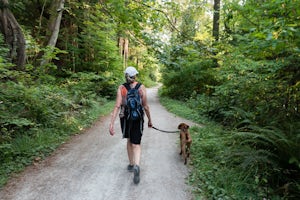 Ruck sac packed for doggy days out