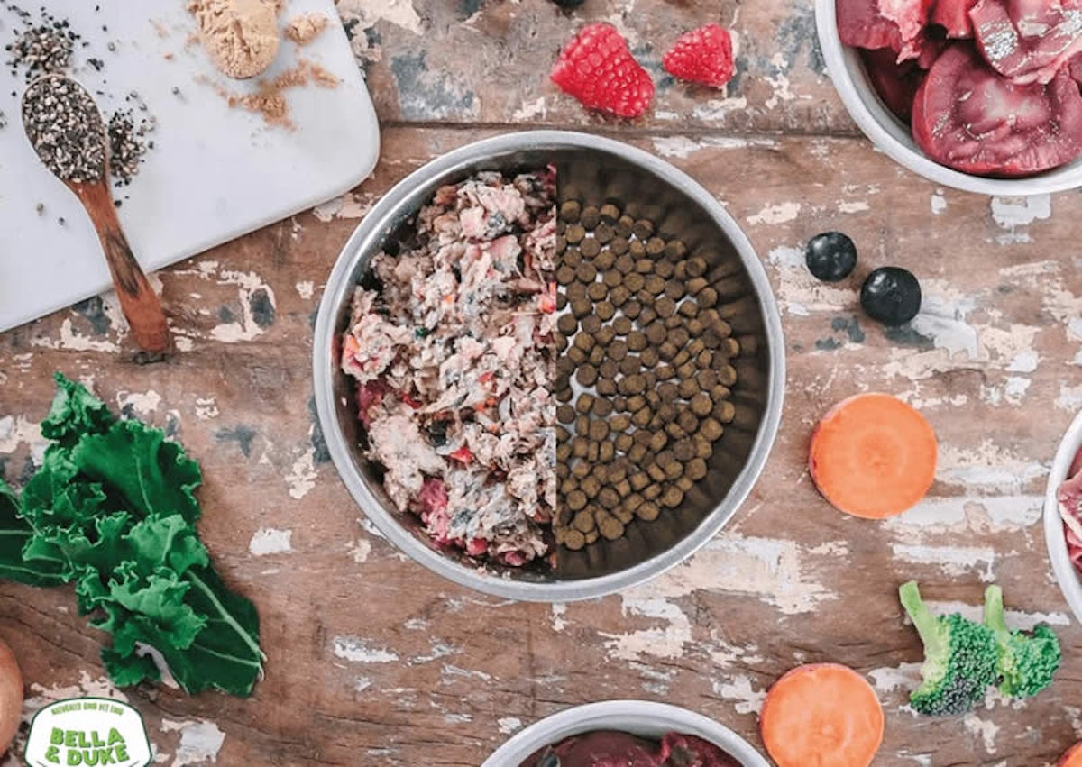 how to raw dog food diet