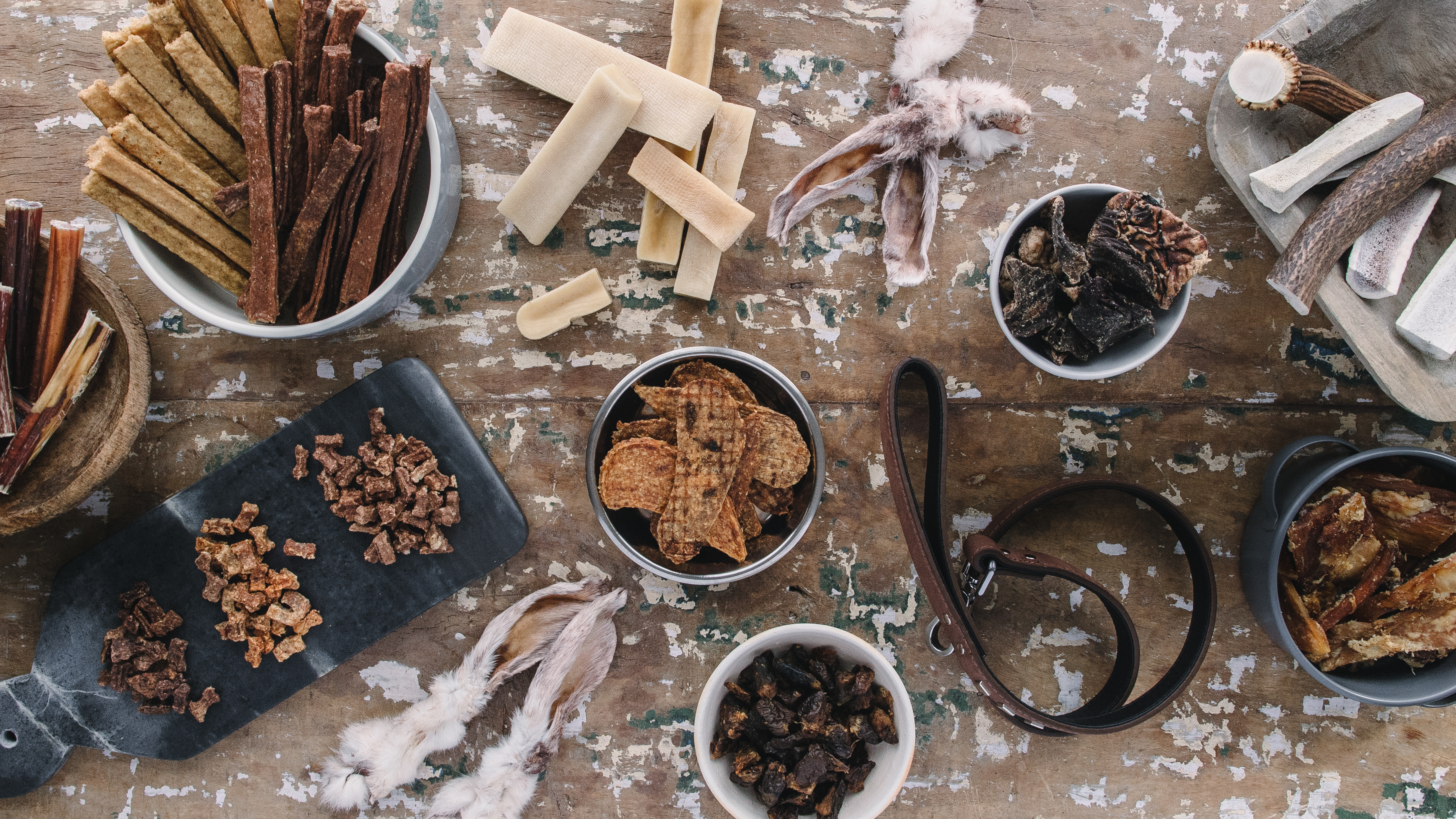 bella and duke treats