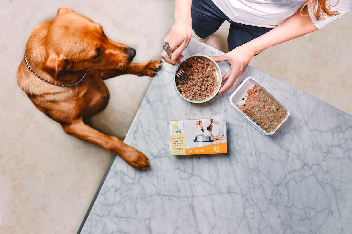 What is Raw Dog Food? ⋆ Bella & Duke Raw Food