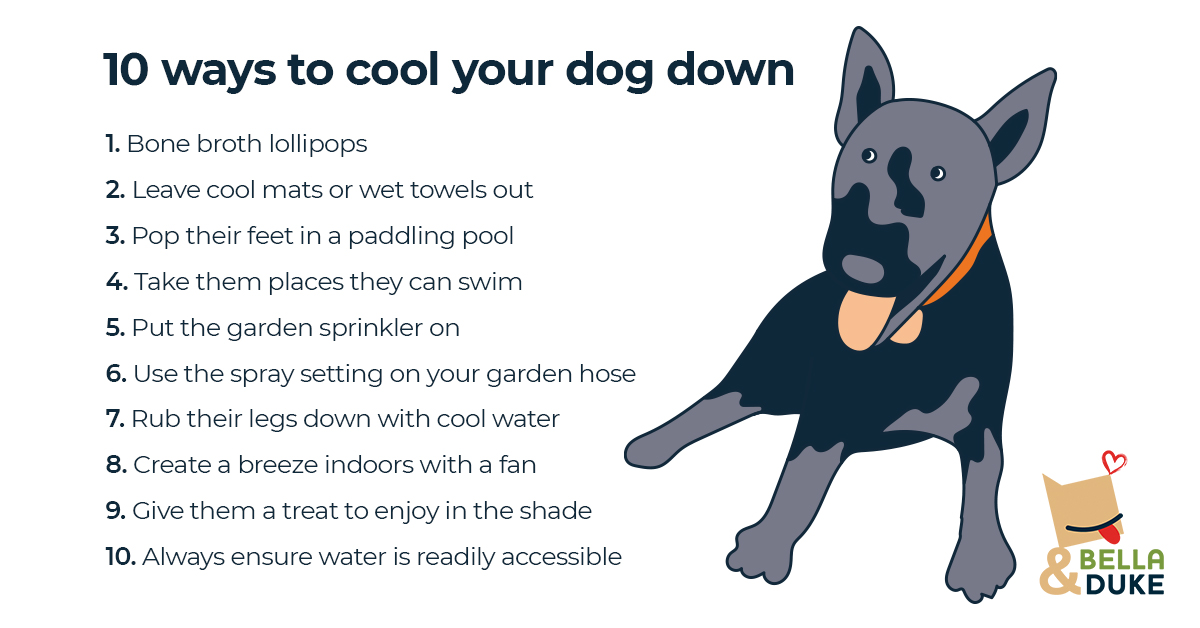 how to cool dogs down in summer
