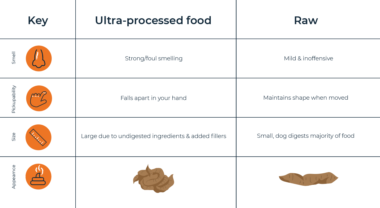 raw food diet dog poop