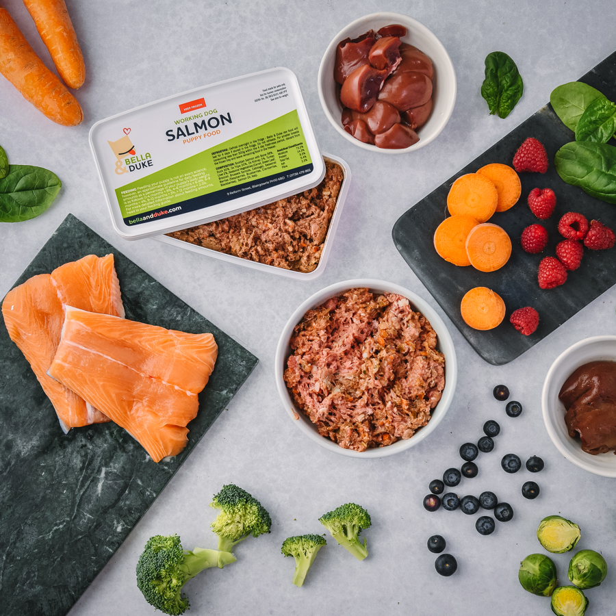 Salmon Puppy Complete Working Dog ⋆ Bella & Duke Raw Food