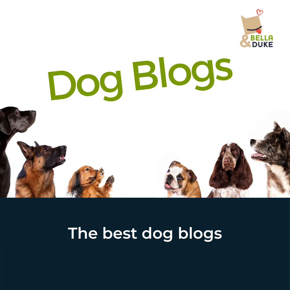 Dog Blogs, Top 10 Blogs you will love to read